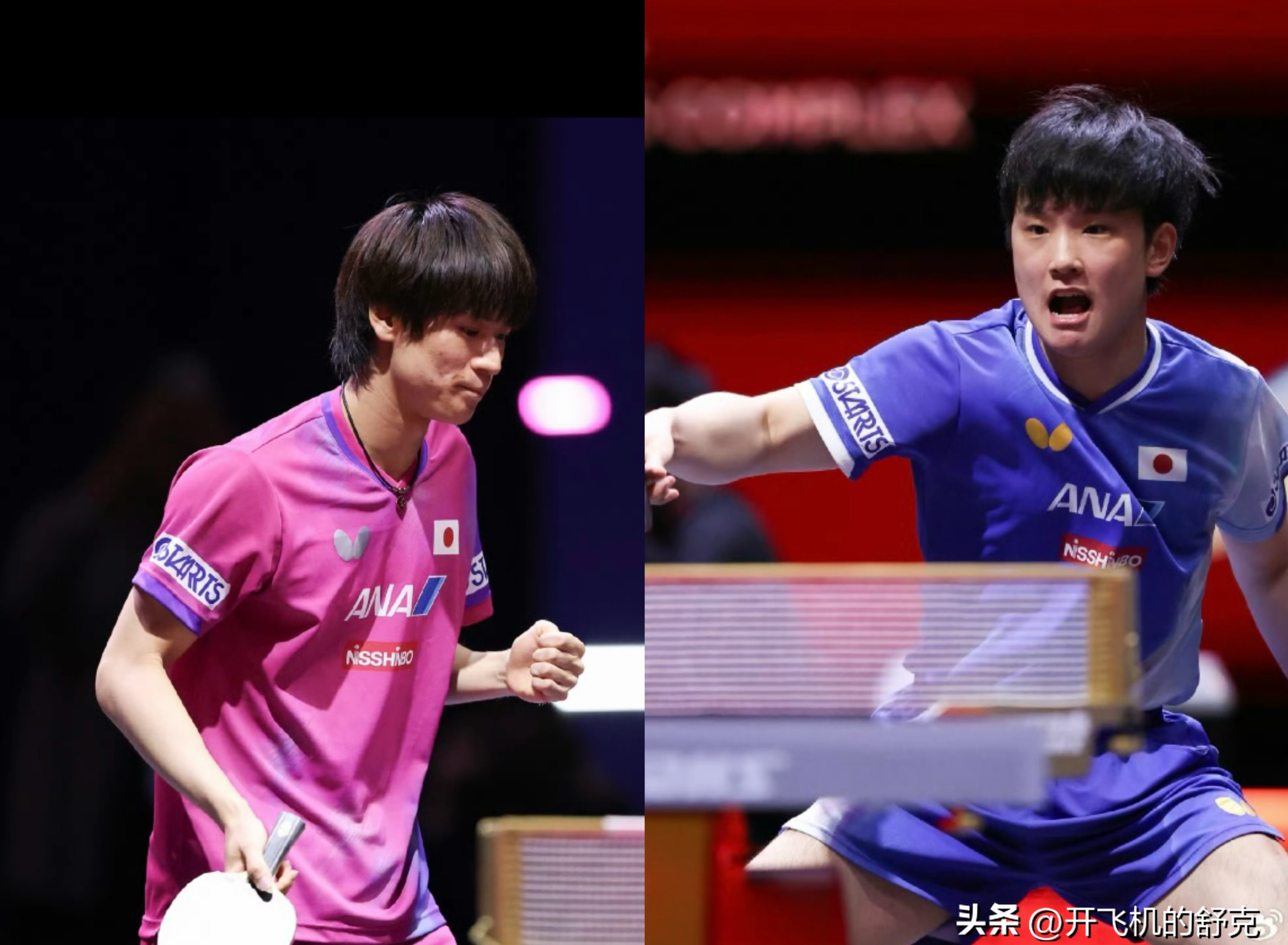 关于德国乒乓球队碾压日本乒乓球队,张本智和高光表现的信息 关于德国乒乓球队碾压日本乒乓球队,张本智和高光表现的信息