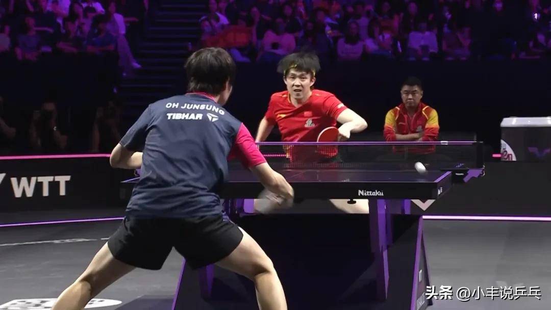 关于法国乒乓球队绝杀中国乒乓球队，王皓一己之力扛起全队的信息