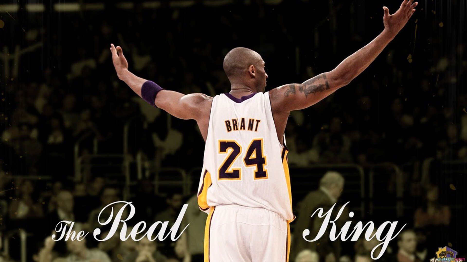 当孟菲斯的铁壁遇见休斯顿的流星，杰伦·格林如何用唯一性改写公牛与灰熊的剧本